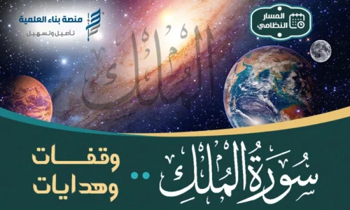 الصورة المصغرة للدورة