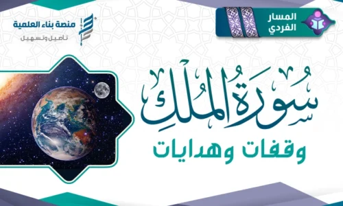 الصورة المصغرة للدورة