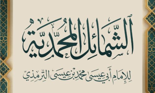الصورة المصغرة للدورة